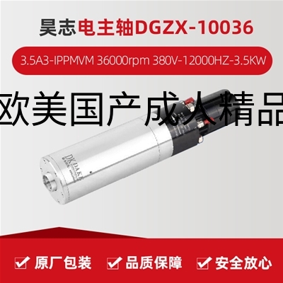 昊志电主轴DGZX-10036/3.5A3-IPPMVM  36000rpm 380V-12000HZ-3.5KW