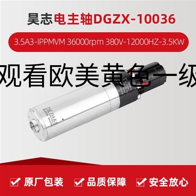 昊志电主轴DGZX-10036/3.5A3-IPPMVM  36000rpm 380V-12000HZ-3.5KW