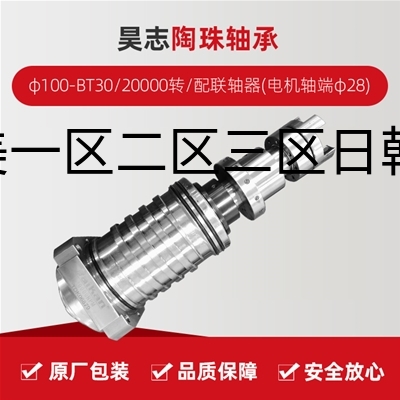 昊志/陶珠轴承/φ100-BT30/20000转/配联轴器(电机轴端φ28)