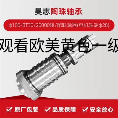 昊志/陶珠轴承/φ100-BT30/20000转/配联轴器(电机轴端φ28)