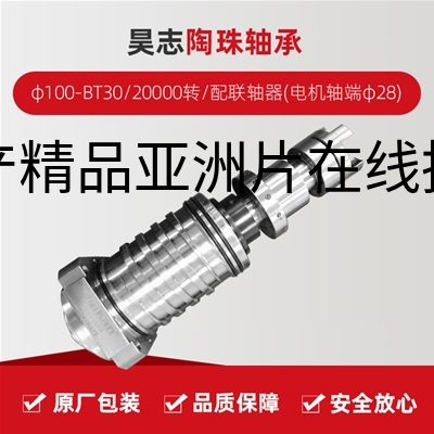 昊志/陶珠轴承/φ100-BT30/20000转/配联轴器(电机轴端φ28)