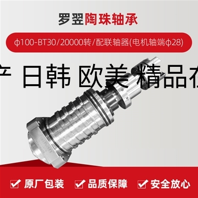 罗翌/陶珠轴承/φ100-BT30/20000转/配联轴器(电机轴端φ28)