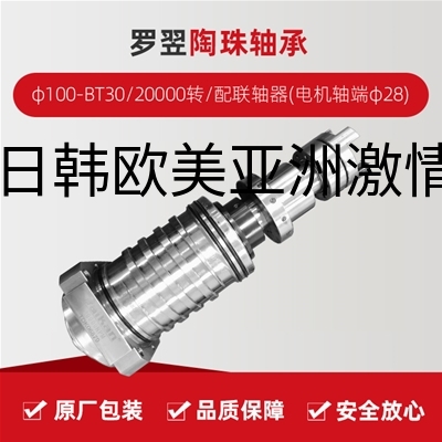 罗翌/陶珠轴承/φ100-BT30/20000转/配联轴器(电机轴端φ28)