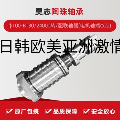 昊志/陶珠轴承/φ100-BT30/24000转/配联轴器(电机轴端φ22)