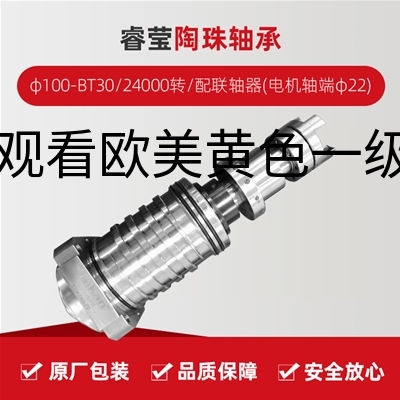 睿莹/陶珠轴承/φ100-BT30/24000转/配联轴器(电机轴端φ22)/拉杆加长1.5MM