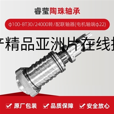 睿莹/陶珠轴承/φ100-BT30/24000转/配联轴器(电机轴端φ22)/拉杆加长1.5MM