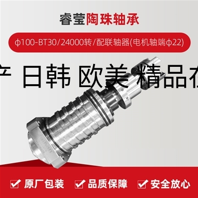 睿莹/陶珠轴承/φ100-BT30/24000转/配联轴器(电机轴端φ22)/拉杆加长1.5MM