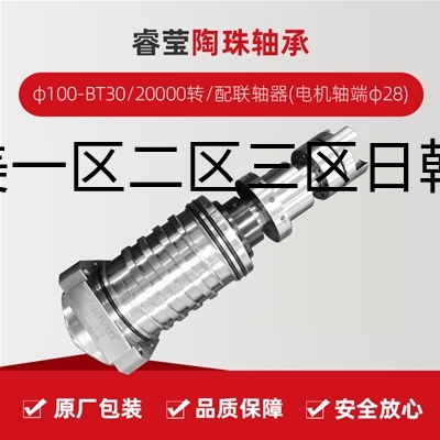 睿莹/陶珠轴承/φ100-BT30/20000转/配联轴器(电机轴端φ28)/拉杆加长1.5MM