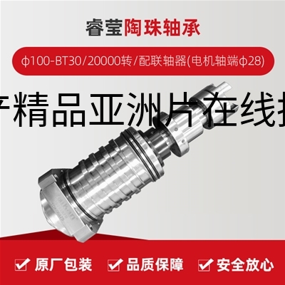 睿莹/陶珠轴承/φ100-BT30/20000转/配联轴器(电机轴端φ28)/拉杆加长1.5MM