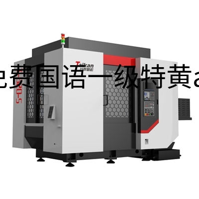 双工作台钻铣加工中心T-520-S